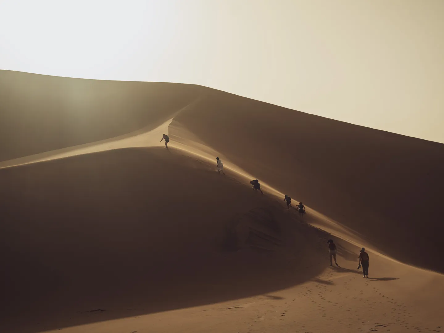Voyage - Image 4